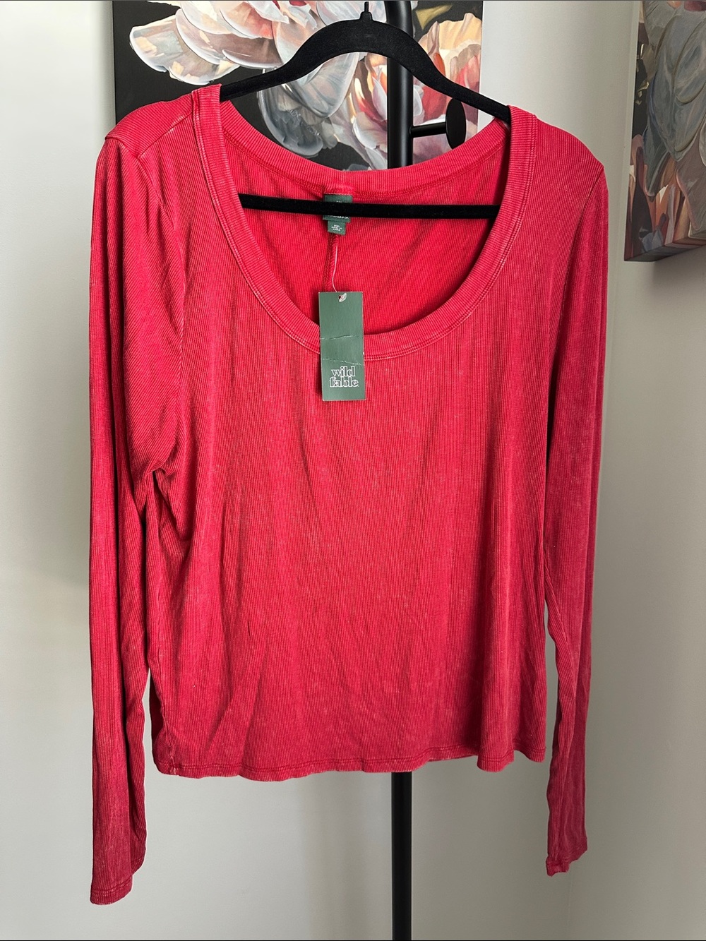 wild fable Scoop Neck Long-Sleeve Top in Red